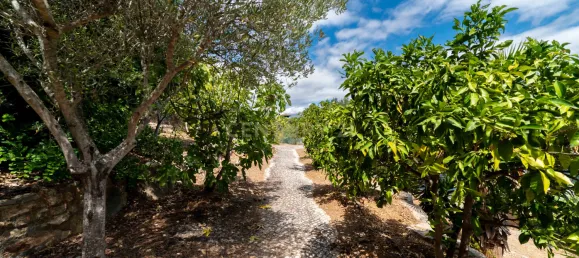 4 bedrooms Villa in Tavira, Portugal No. 132661 47