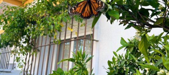 3 Schlafzimmer Stadthaus in Cadiz, Spain, Nr. 138068 4