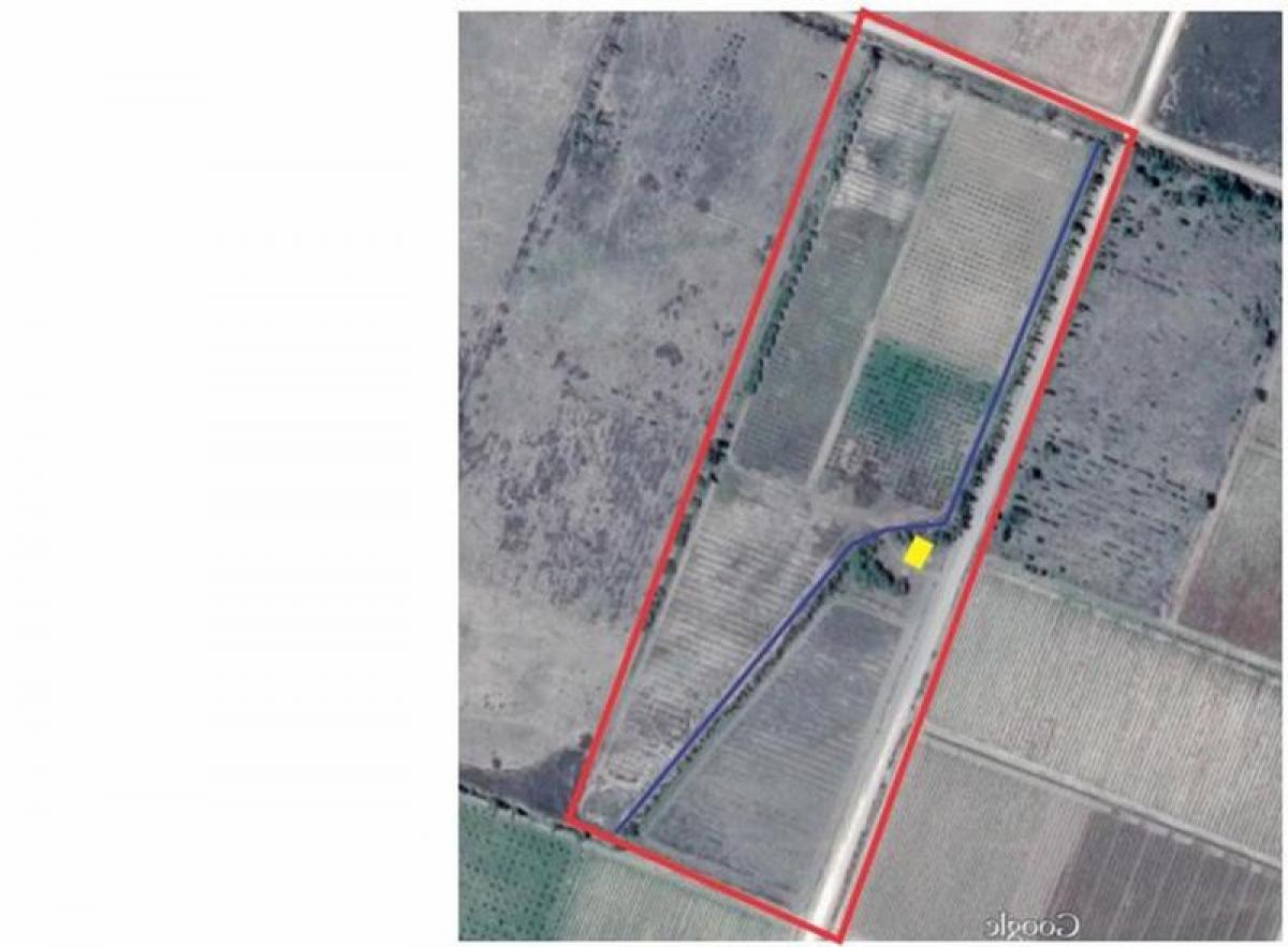  Farm in Mendoza, Argentina No. 43278