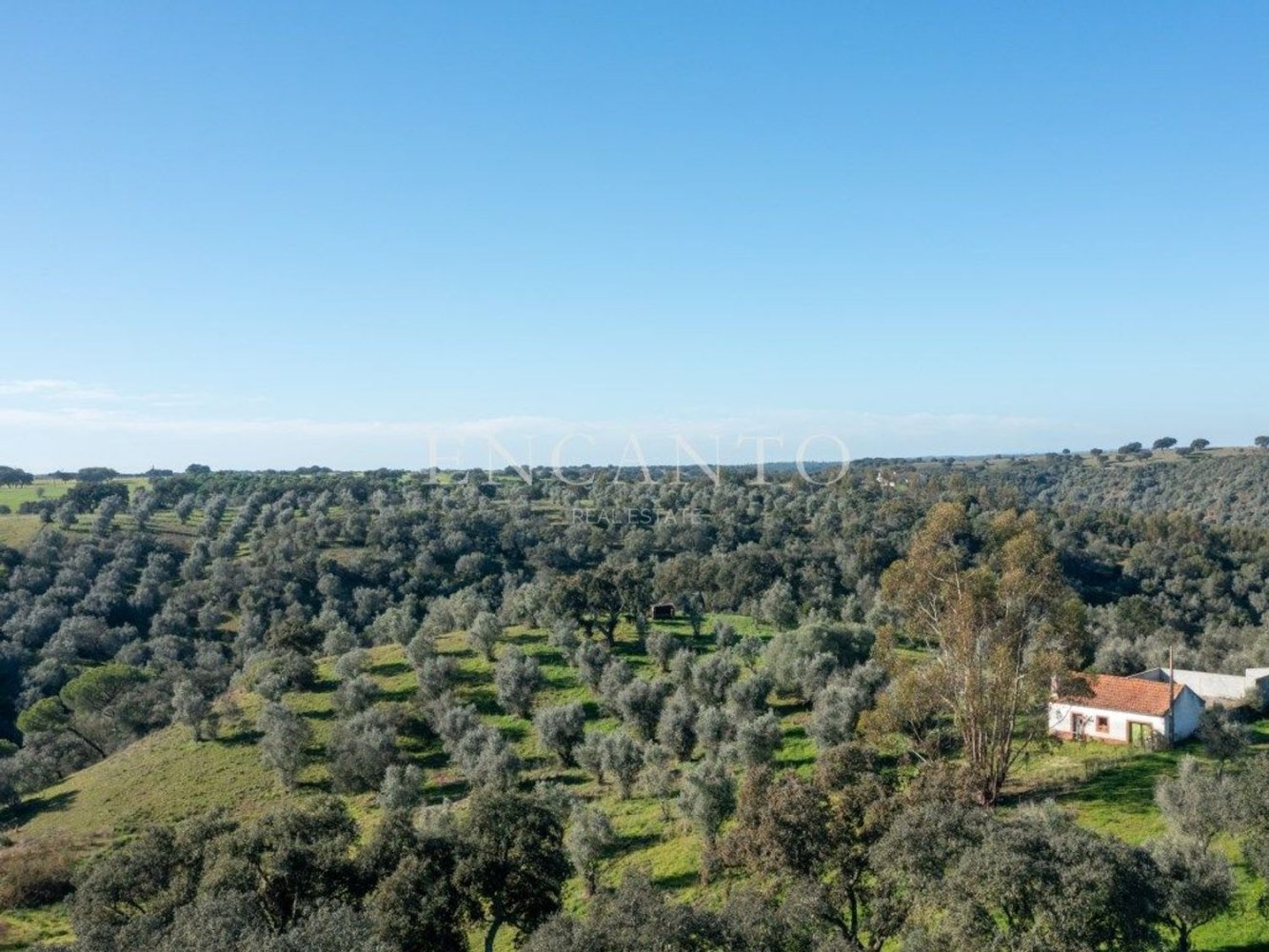 Casa T1 em São Cristóvão, Portugal N.º 307982