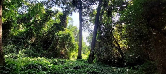 112612m² Land in Caldas da Rainha, Portugal No. 82242 11