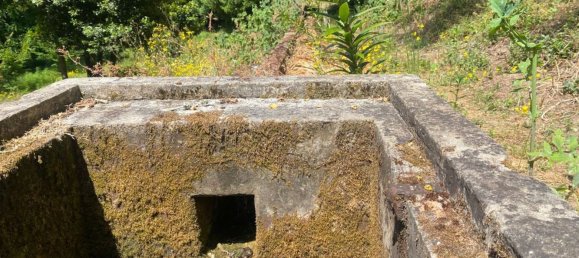 112612m² Land in Caldas da Rainha, Portugal No. 82242 12