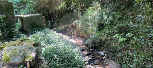 112612m² Land in Caldas da Rainha, Portugal No. 82242 2