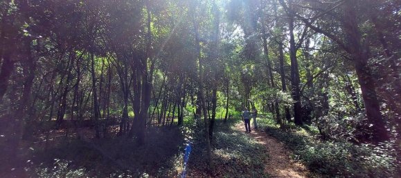 112612m² Land in Caldas da Rainha, Portugal No. 82242 6