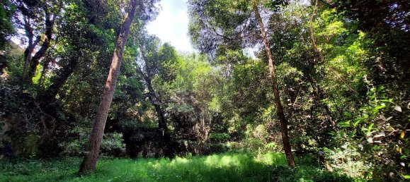 112612m² Land in Caldas da Rainha, Portugal No. 82242 8