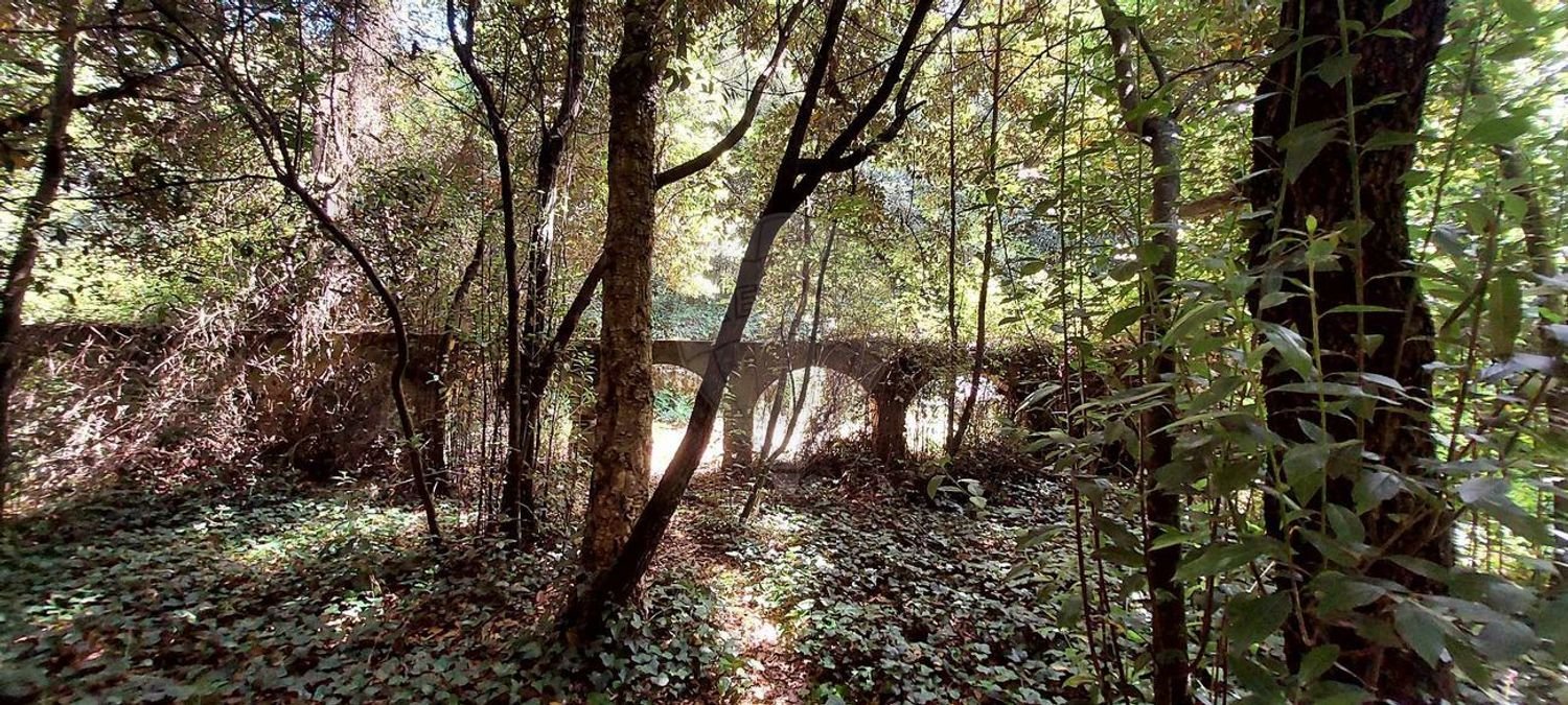 112612m² Land in Caldas da Rainha, Portugal No. 82242