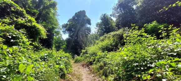 112612m² Land in Caldas da Rainha, Portugal No. 82242 7