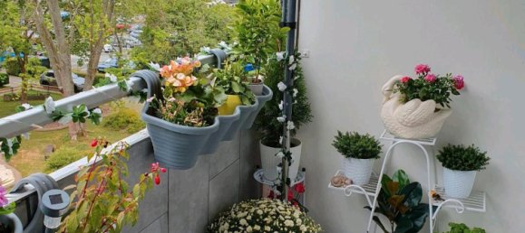 1 Schlafzimmer Wohnung in Siegen-Wittgenstein, Germany, Nr. 267384 8