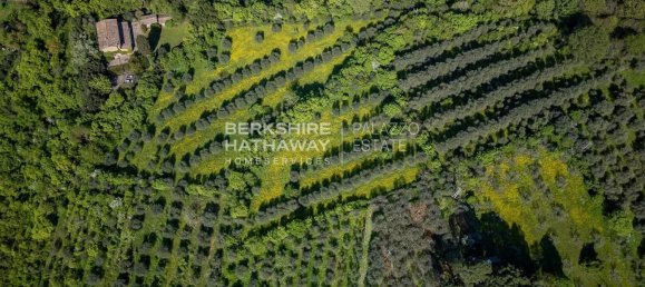 4 bedrooms House in Florence, Italy No. 238019 6