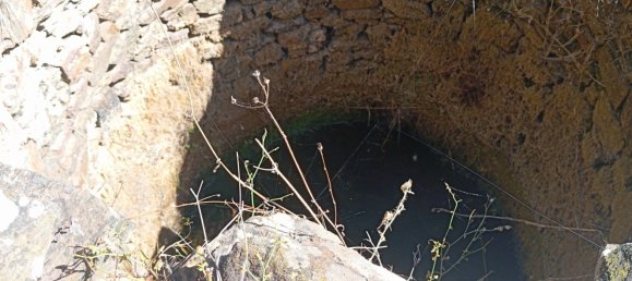 6 Schlafzimmer Haus in Loule, Portugal, Nr. 130177 10