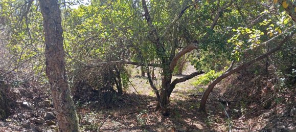 6 Schlafzimmer Haus in Loule, Portugal, Nr. 130177 12