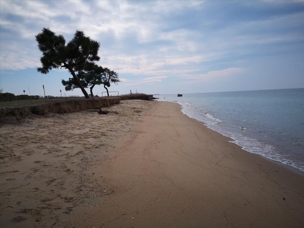 8000 m² hotel en venta en Chalkidiki, Central Macedonia, Macedonia and Thrace, Greece № 5188