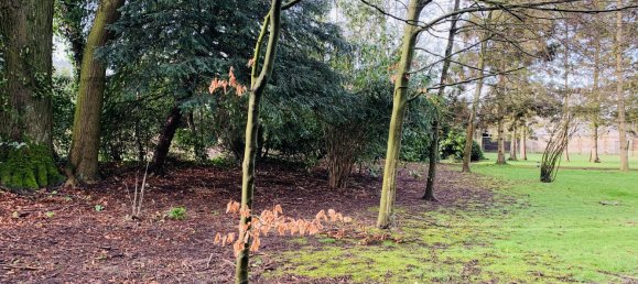 Grundstück in Friville-Escarbotin, France 9300m², Nr. 109383 7