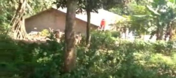  Land in Bogor City, Indonesia No. 1532 6