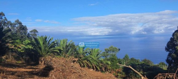 610m² Land in Santana, Portugal No. 214056 6