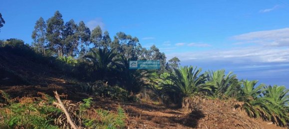 610m² Land in Santana, Portugal No. 214056 8