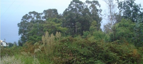 610m² Land in Santana, Portugal No. 214056 11