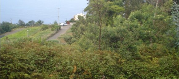 610m² Land in Santana, Portugal No. 214056 10