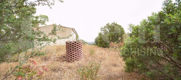 Grundstück in Olbia, Italy 63000m², Nr. 40072 4