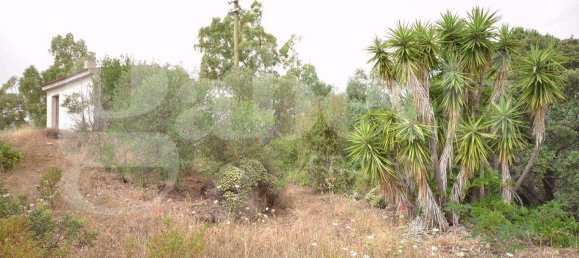 Grundstück in Olbia, Italy 63000m², Nr. 40072 6