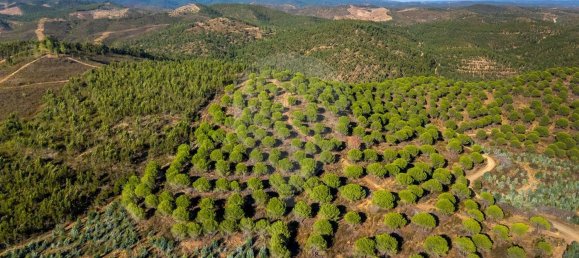 1 bedroom House in Lagos, Portugal No. 56267 2