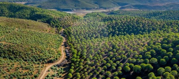 1 bedroom House in Lagos, Portugal No. 56267 3