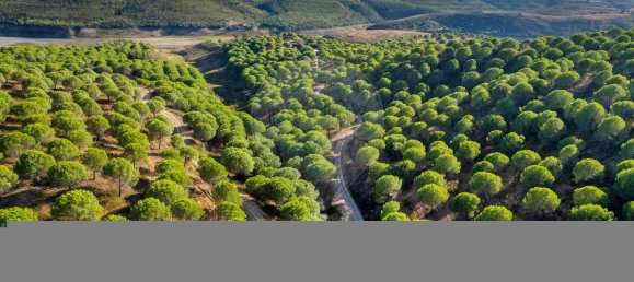 1 bedroom House in Lagos, Portugal No. 56267 5