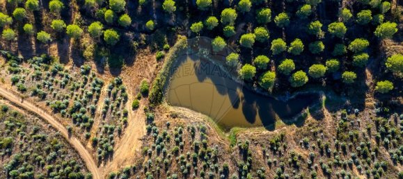 1 bedroom House in Lagos, Portugal No. 56267 10