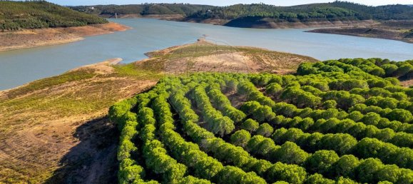 1 bedroom House in Lagos, Portugal No. 56267 14