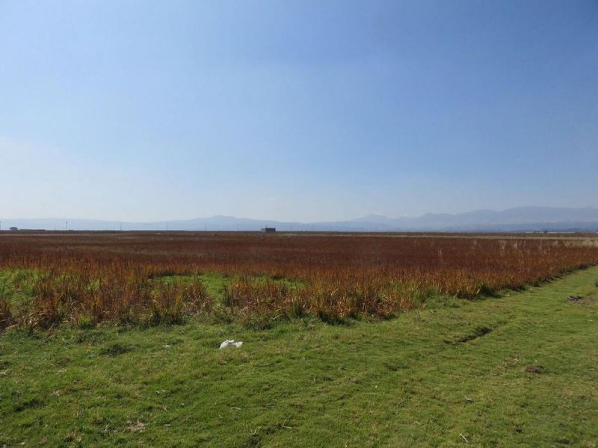 Terreno em Mexico N.º 205527