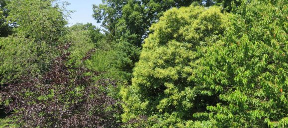 2 Schlafzimmer Wohnung in München, Germany, Nr. 229358 33
