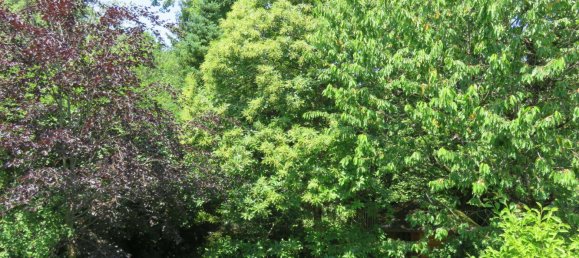 2 Schlafzimmer Wohnung in München, Germany, Nr. 229358 18