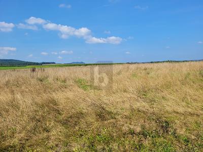 2442m² Land in Bernkastel-Wittlich, Germany No. 225155