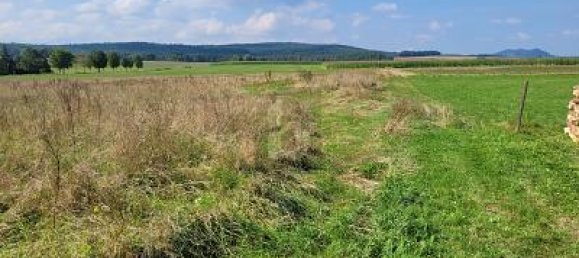 2442m² Land in Bernkastel-Wittlich, Germany No. 225155 2