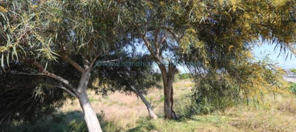 Земельный участок в Дериния, Кипр № 24112 3