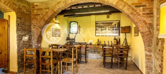 9 bedrooms Land in Siena, Italy No. 163449 12