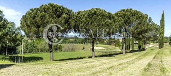 9 bedrooms Land in Siena, Italy No. 163449 22