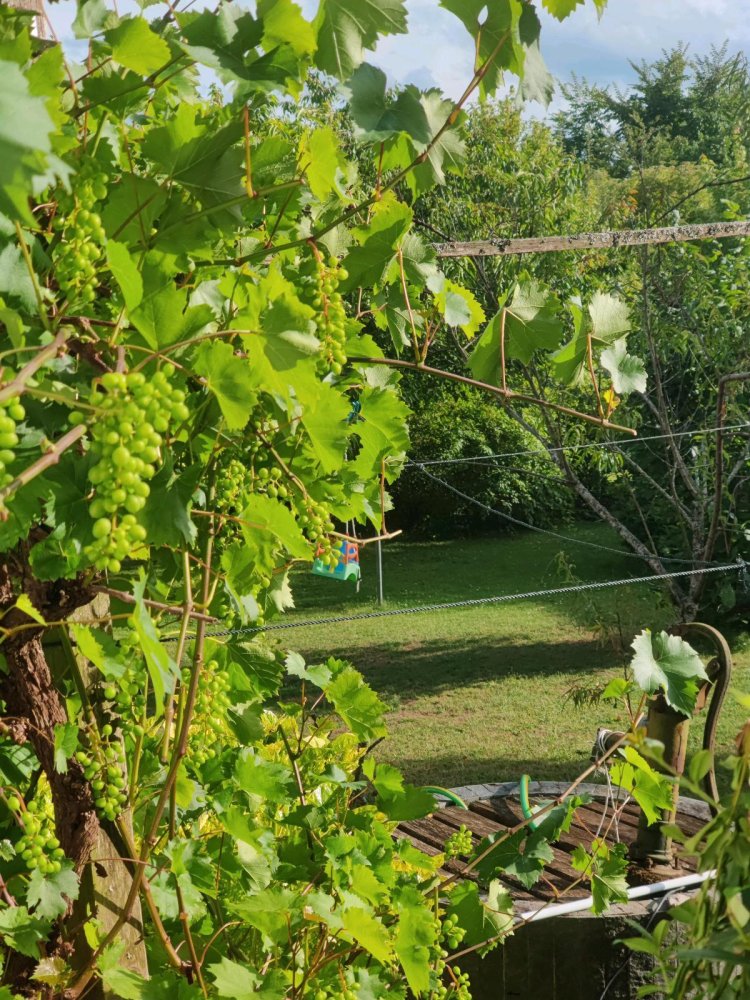 5 bedrooms House in Schwarzwald-Baar-Kreis, Germany No. 240725