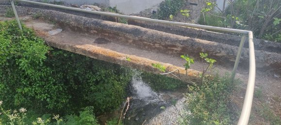 4 غرف نوم منزل في Sarzedas, Portugal رقم 158128 11