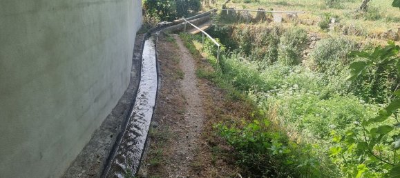 4 غرف نوم منزل في Sarzedas, Portugal رقم 158128 19