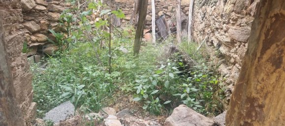 4 غرف نوم منزل في Sarzedas, Portugal رقم 158128 18