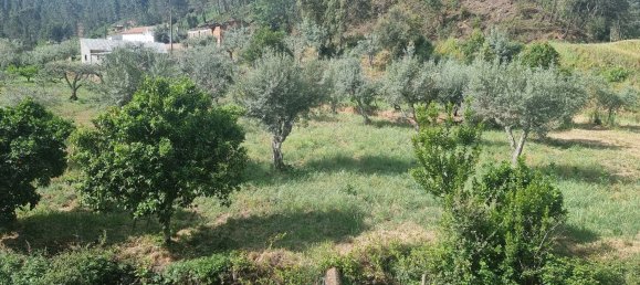 4 غرف نوم منزل في Sarzedas, Portugal رقم 158128 20