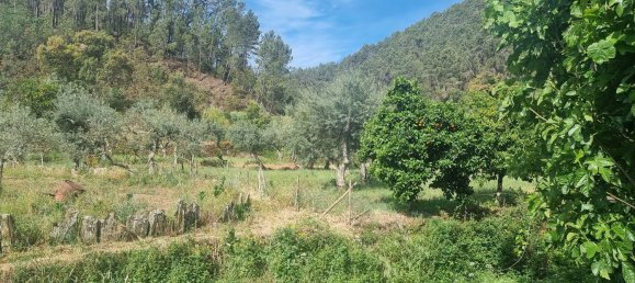 4 غرف نوم منزل في Sarzedas, Portugal رقم 158128 3