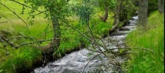 Дом с 7 комнатами в Камподольчино, Италия № 33802 6