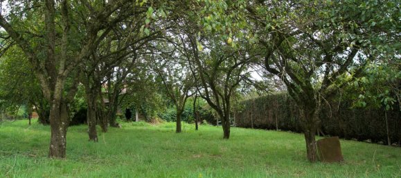 4 bedrooms Townhouse in Beuvezin, France No. 234861 10