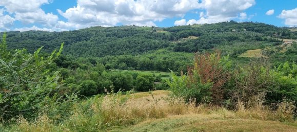 11غرفة منزل في Pelago, Italy رقم 219477 29