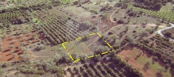1700m² Land in Loule, Portugal No. 30882 3