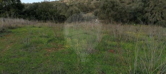1700m² Land in Loule, Portugal No. 30882 4