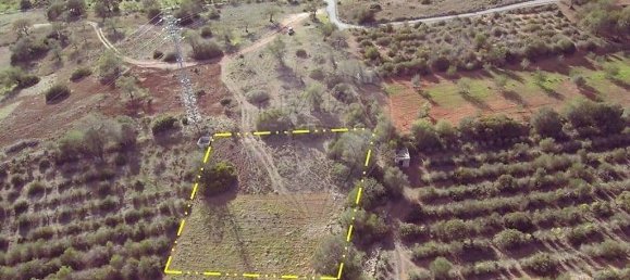 1700m² Land in Loule, Portugal No. 30882 2