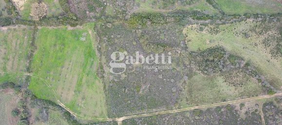 Земельный участок 4300м² в Будони, Италия № 265800 5